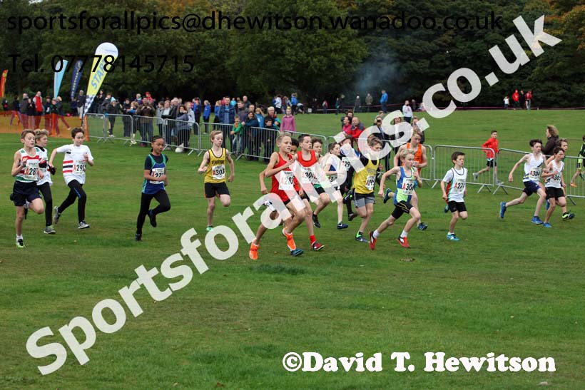 Boys under-13s Northern Cross Country Relays, Graves Park, Sheffield. Photo: David T. Hewitson/Sports for All Pics